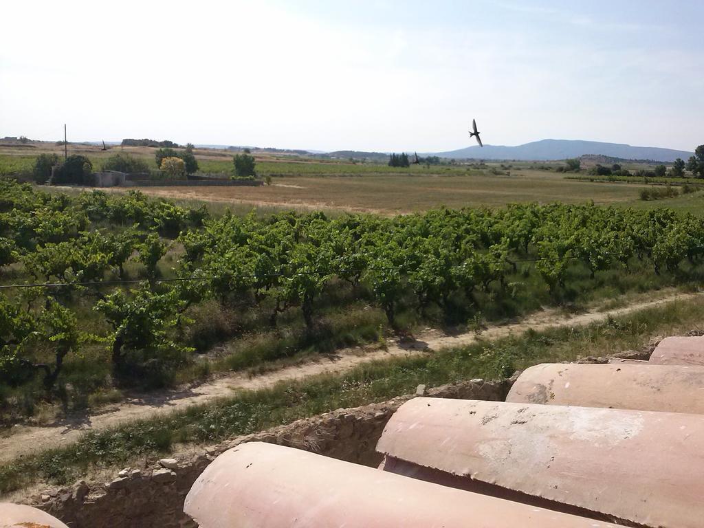 Chambre D'Hotes Le Massanous Laure-Minervois Δωμάτιο φωτογραφία